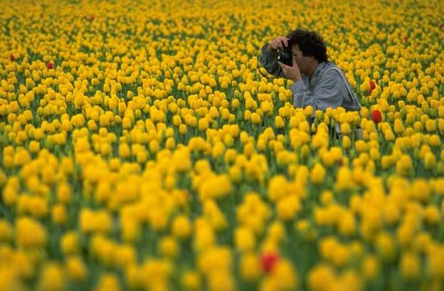 valokuvaaja kukkaniityllä